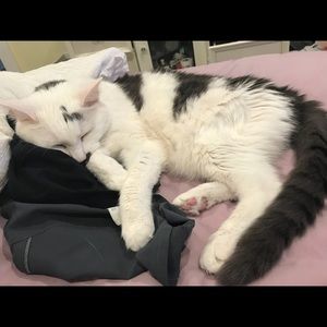 Meet your Posher, Olivia